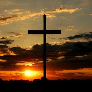 Meet your Posher, Jillian